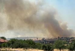 Uşak'ta meşelik yangını