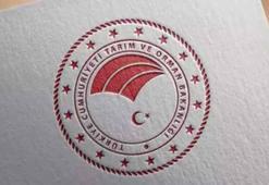 Tarımsal destek ödemeleri bugün hesaplara aktarılıyor