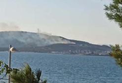 Cunda Adası’nda orman yangını
