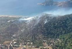 Muğla’da orman yangını kontrol altında