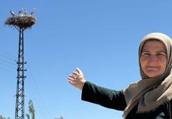 20 yıldır aileye 'yarenlik' ediyorlar