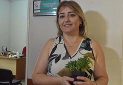 Sigarayı bırakan 25 yıllık tiryaki, kül tablasını saksıya dönüştürdü