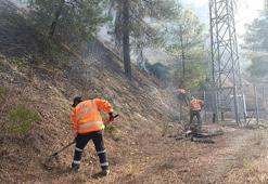 TCDD ekipleri, Bilecik–Osmaneli hattında demiryolu altyapısına kadar ilerleyen alevlerin kontrol altına alındığını aktardı