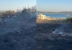 Balıkesir'deki orman yangını 1 saatte kontrol altına alındı