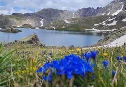 3 bin 200 rakımdaki ‘saklı cennet’ Yedigöller