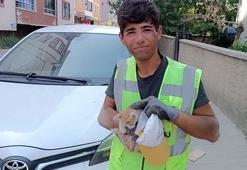 Temizlik görevlisi, otomobilin motor bölümüne sıkışan kediyi kurtardı