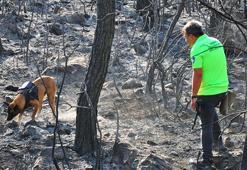 Yangın tespit köpeği 'Ateş', şüpheli yangınların izini sürüyor