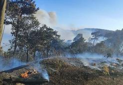 Akhisar'daki orman yangını, 18 saatte kontrol altına alındı