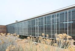 ABD'de üniversitenin yurdunda silahlı saldırı: 1 ölü, 1 yaralı