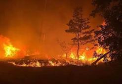 Kuraklığa bağlı orman yangınlarında 'artış' tehlikesi
