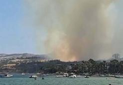 Çanakkale'de tarım arazisinde yangın