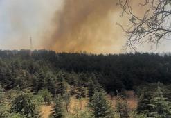 Ankara Valisi Şahin, Eymir Gölü çevresinde çıkan orman yangınına ilişkin açıklamalarda bulundu