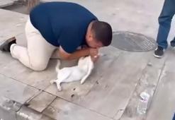 Kediyi, suni teneffüs ve kalp mesajı ile kurtarmaya çalıştı