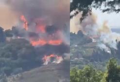 Kocaeli'deki orman yangını kontrol altında