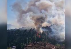 Bursa'da orman yangını
