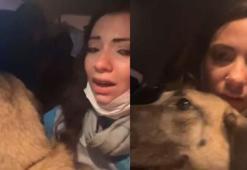 Bursa'da orman yangını; kucağındaki köpekle alevlerden kaçtı