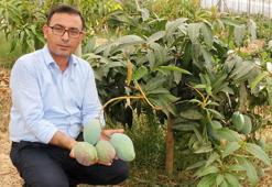 ‘Tüketicimiz yerli mangoyu tercih etsin'