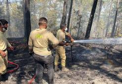 Karabük’teki orman yangınları 5’inci günde