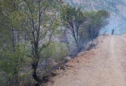 Elazığ'daki örtü yangını kontrol altına alındı