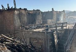 Uşak'ta meşelik alan ve ormanda çıkan 2 yangın kontrol altına alındı