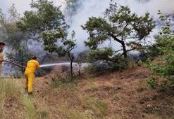 Kahramanmaraş’taki orman yangınında 2'nci gün