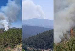 Bursa Orhaneli’de alevler yeniden canlandı