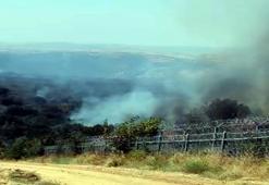 Bulgaristan’daki orman yangını, Türkiye sınırına ulaştı