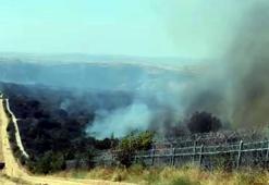 Bulgaristan’daki orman yangını, Türkiye sınırına ulaştı