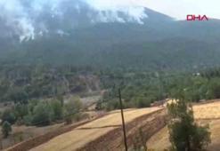 Karabük’teki orman yangınları 5’inci günde