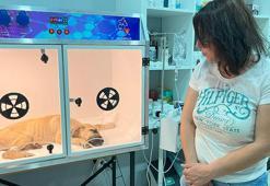 Sopayla dövülen yavru köpeğin hayati riski var