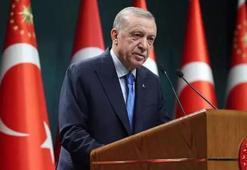 Cumhurbaşkanı Erdoğan: Yeşil vatanımızı korumak için teyakkuz halindeyiz