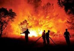 Orman yangınlarının çoğu aynı gün kontrol altına alındı