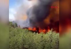 Bursa Orhaneli’de alevler yeniden canlandı