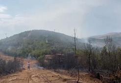 Bingöl’de iki farklı noktada orman yangını