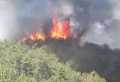 Bursa Orhaneli’de alevler yeniden canlandı