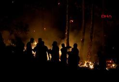 Bursa Harmancık'ta orman yangını devam ediyor