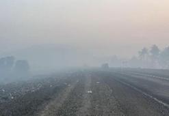 Bursa Orhaneli'de orman yangını; çevreyi duman kapladı