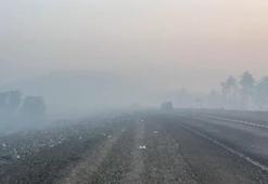 Bursa Orhaneli'de orman yangını; çevreyi duman kapladı