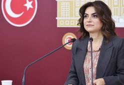 DEM Parti'li Koçyiğit: Komisyon demokratikleşme ve barış perspektifi içermeli
