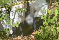 Sarıyer'de ormanlık alanda başına çöp poşeti geçirilip bantlanmış erkek cesedi bulundu