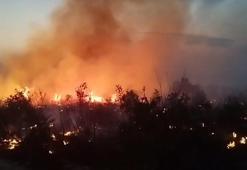 Diyarbakır’da örtü yangınına ekiplerin müdahalesi sürüyor