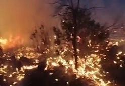 Diyarbakır'da örtü yangınları söndürüldü