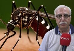 Prof. Dr. Özlü: ‘Chikungunya’ virüsü için yakın bir tehdit söz konusu değil