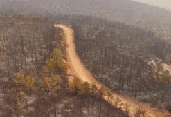 Bursa'daki orman yangını 4'üncü gününde; yanan alanlar dronla görüntülendi