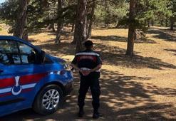 Sakarya'da 'havai fişek' yasağı