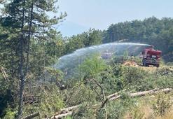 Karabük'teki orman yangınları kontrol altında