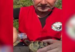 Bursa'da orman yangınından kurtardıkları kaplumabağaya su verdiler