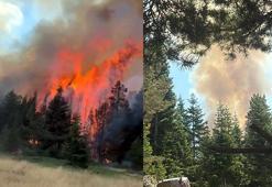 Çankırı'da çıkan orman yangını kısmen kontrol altına alındı