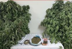 Muğla'da uyuşturucu operasyonu