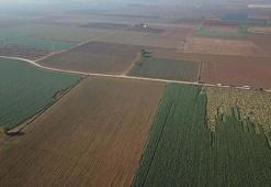 ‘İzmir'in verimli tarım alanları birkaç on yılda üretimden düşebilir’